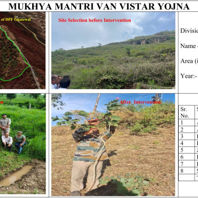 Bilaspur Forest Division